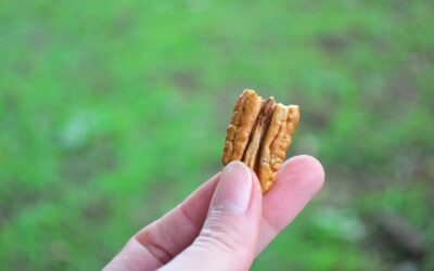 It’s Nuts Being Human