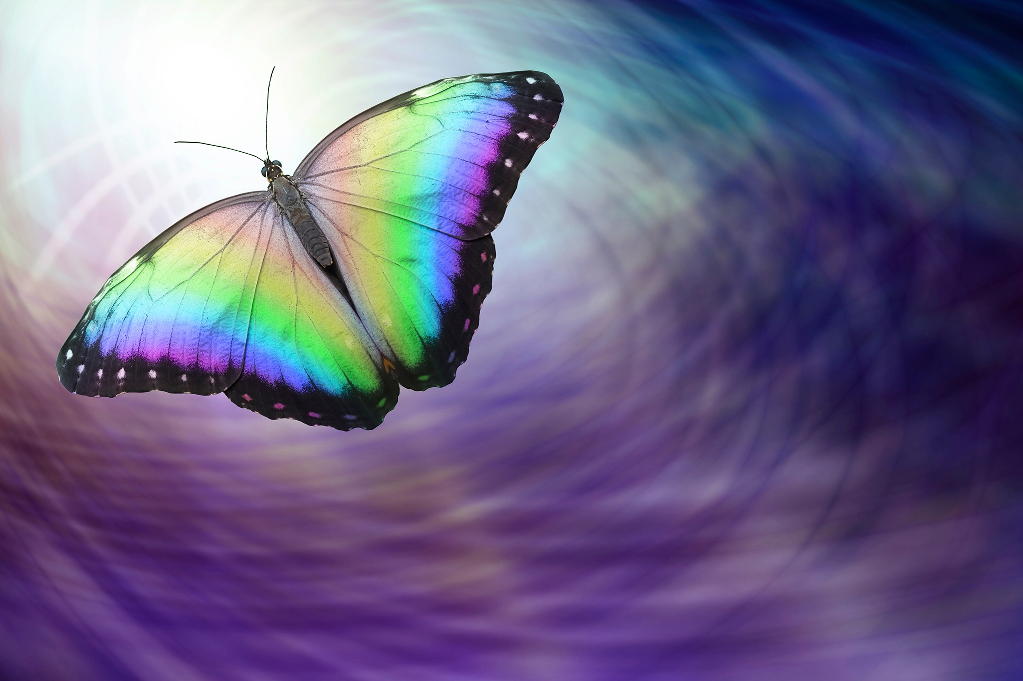 iamspirit_165602663_2048px